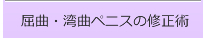 屈曲・湾曲ペニスの修正術